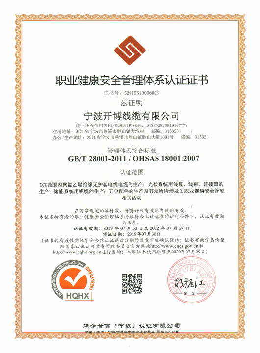 GB28001-OHSAS18001-职业健康安全管理体系-中文